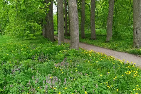 Самчиківський парк — фото 2