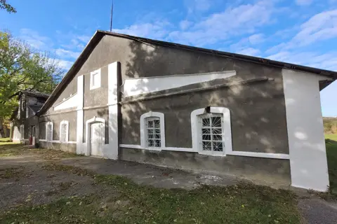 Голосківський парк — фото 4
