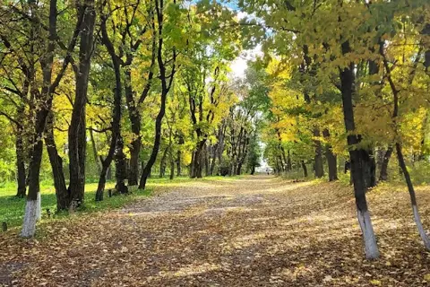 Голосківський парк — фото 6