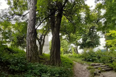 Голосківський парк — фото 10