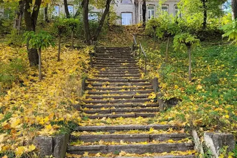 Голосківський парк — фото 12