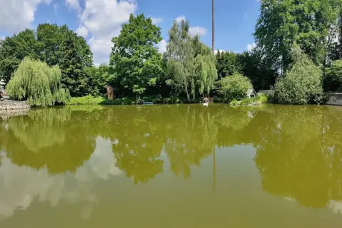 Березнівський державний дендрологічний парк — фото 4
