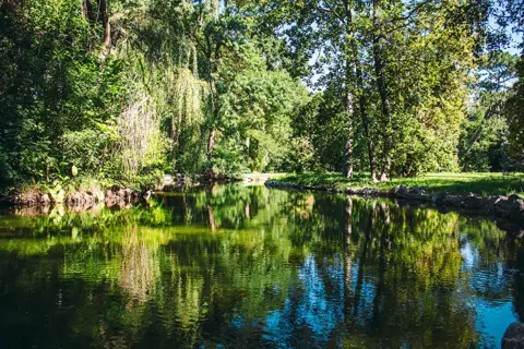 Асканія-Нова (дендропарк) — фото 3