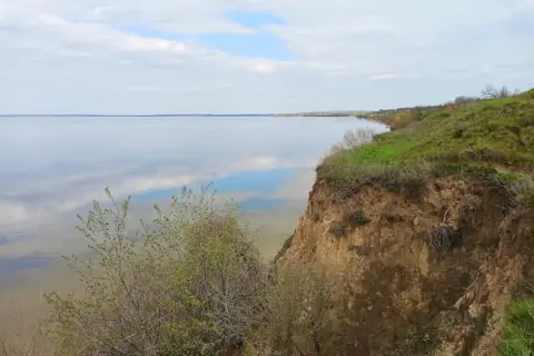Дендропарк Каховського лісгоспзагу — фото 11
