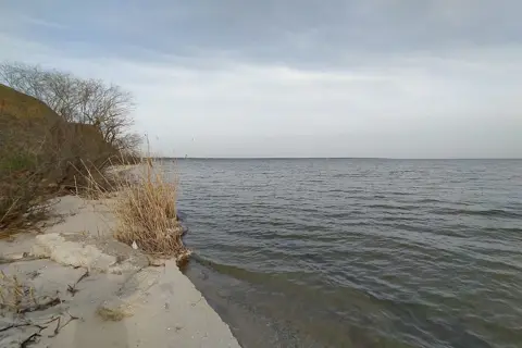 Дендропарк Нижньодніпровської НДС — фото 4