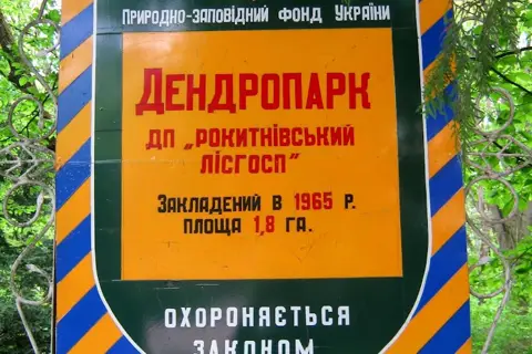 Рокитнівський дендропарк — фото 11
