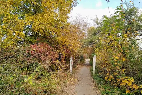 Кривинський парк — фото 4