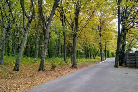 Кривинський парк — фото 5