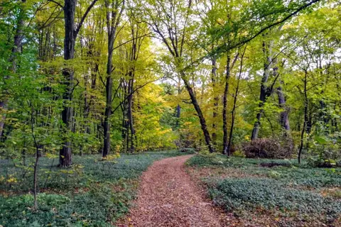 Кривинський парк — фото 9