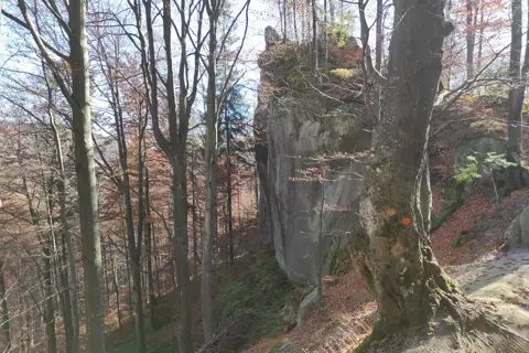 Берегометський парк — фото 7