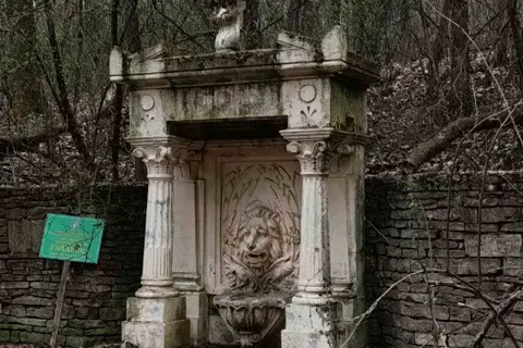 Киселівський дендрологічний парк «Гайдейка» — фото 1