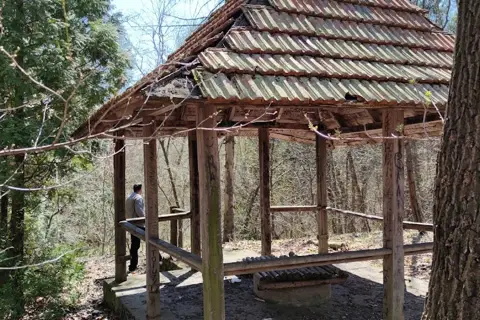 Киселівський дендрологічний парк «Гайдейка» — фото 3