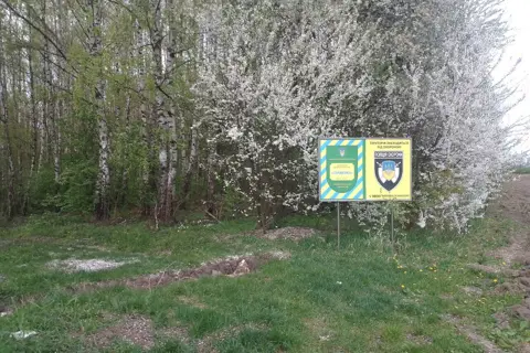 Киселівський дендрологічний парк «Гайдейка» — фото 5