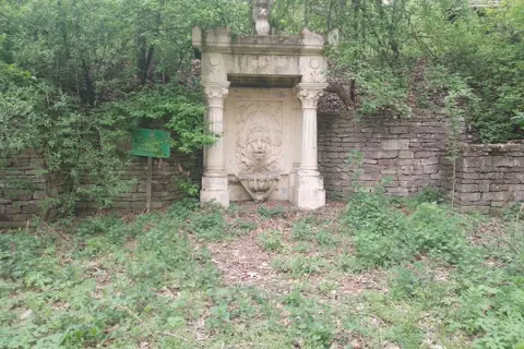 Киселівський дендрологічний парк «Гайдейка» — фото 11
