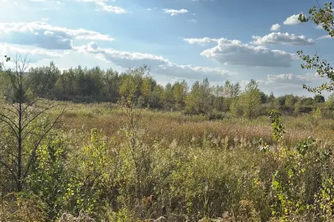 Киселівський дендрологічний парк «Гайдейка» — фото 13