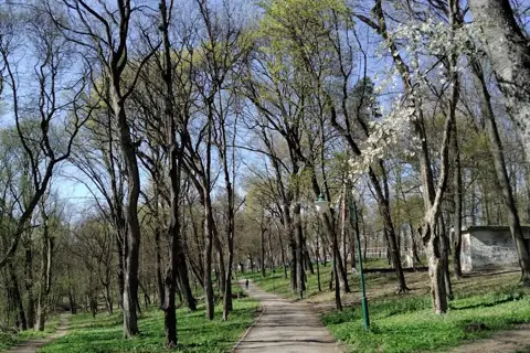 «Флора» (дендропарк) — фото 1