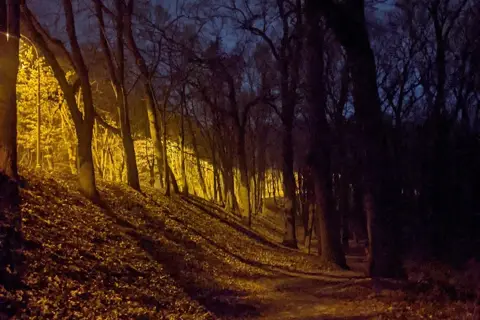 «Флора» (дендропарк) — фото 6