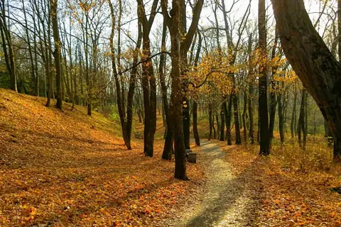 «Флора» (дендропарк) — фото 9