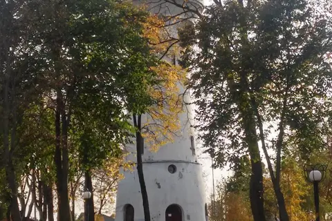 Дендропарк Глухівського держлісгоспу — фото 8