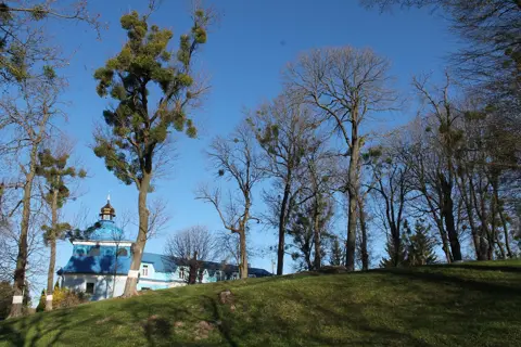 Городоцький парк — фото 2