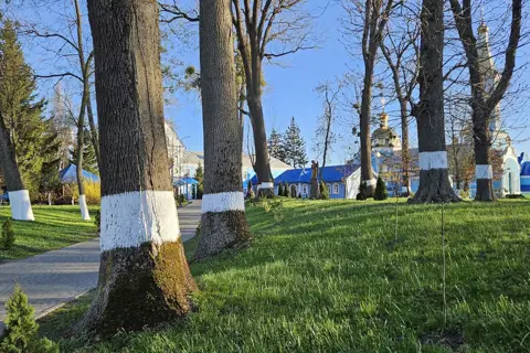 Городоцький парк — фото 6
