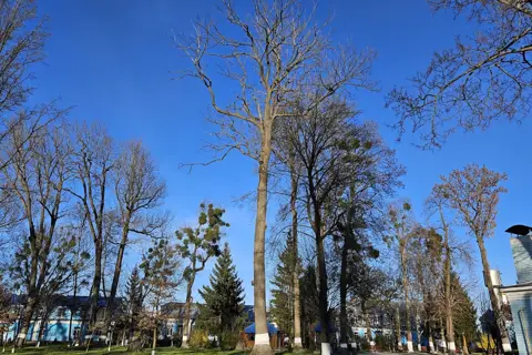 Городоцький парк — фото 11