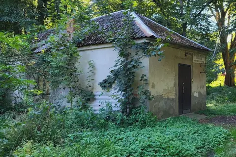 Парк XIX ст. (м. Ходорів) — фото 7