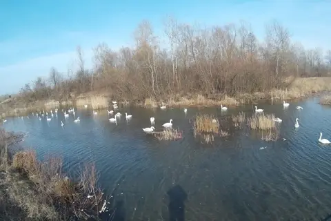 Чорторийський парк — фото 3