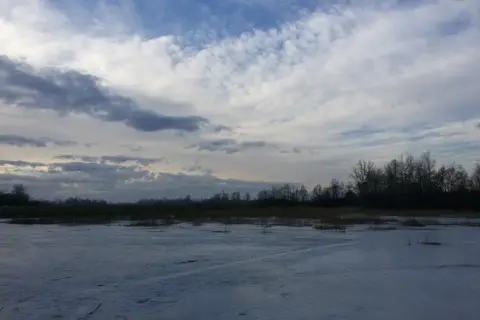 Чорторийський парк — фото 7