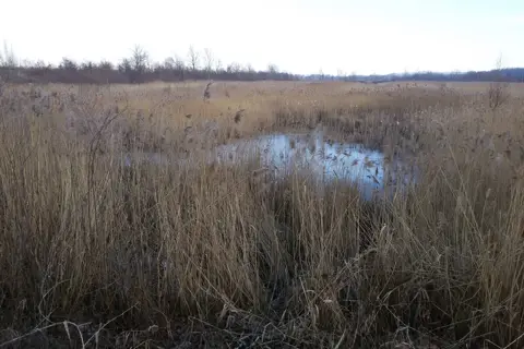 Чорторийський парк — фото 10