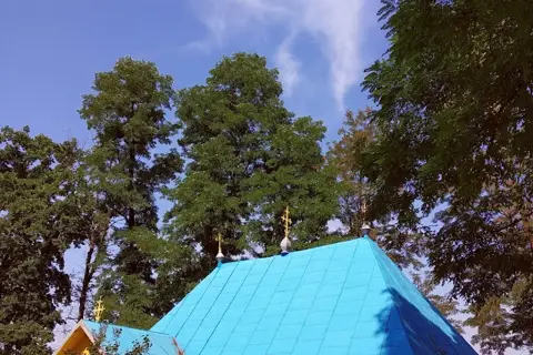 Чорторийський парк — фото 12