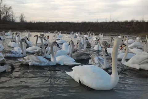 Чорторийський парк — фото 13