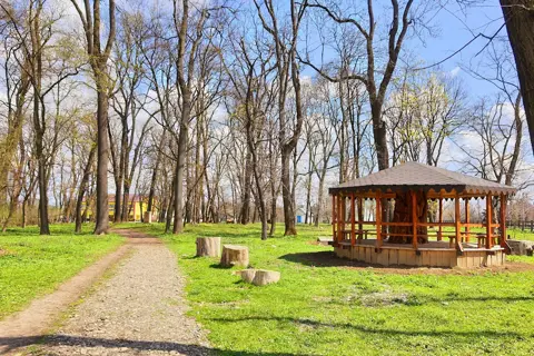 Вашківецький парк — фото 2