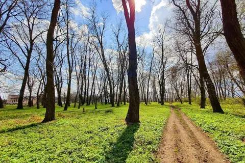 Вашківецький парк — фото 4