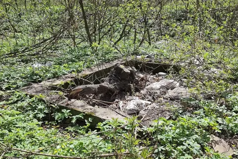 Вашківецький парк — фото 9
