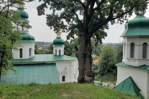 Болдина Гора (парк) — фото 6