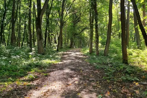 Стольненський парк — фото 6