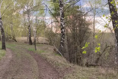 Пташиний рай (регіональний ландшафтний парк) — фото 7