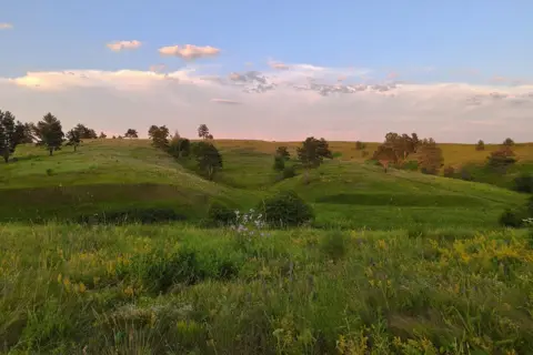 Пташиний рай (регіональний ландшафтний парк) — фото 8