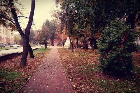Петровський парк — фото 11