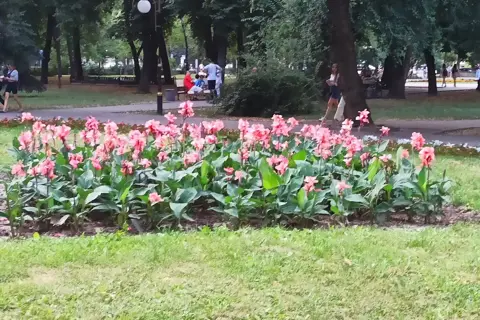 Петровський парк — фото 12