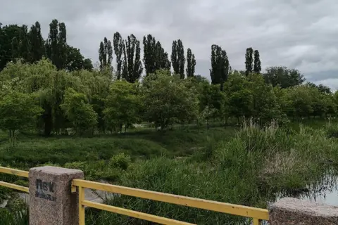 Козачий Острів — фото 1