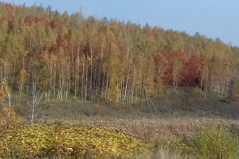 Горбаківський парк — фото 3
