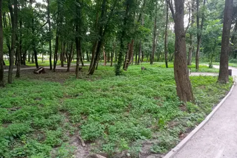 Яготинський ландшафтний парк імені гетьмана Кирила Розумовського — фото 2