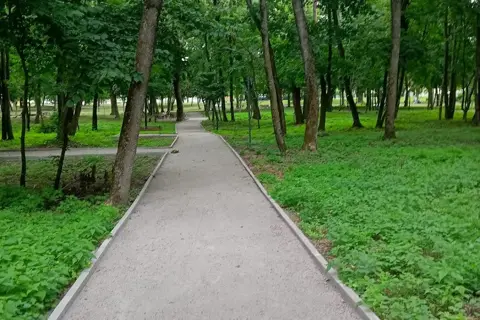Яготинський ландшафтний парк імені гетьмана Кирила Розумовського — фото 13