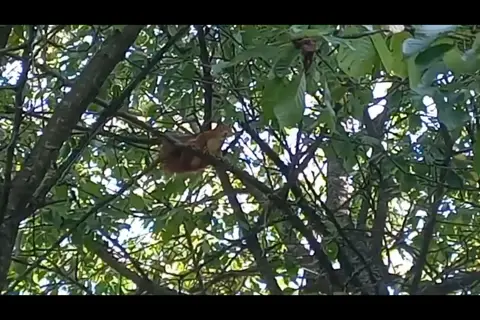 Національний природний парк «Бойківщина» — фото 2