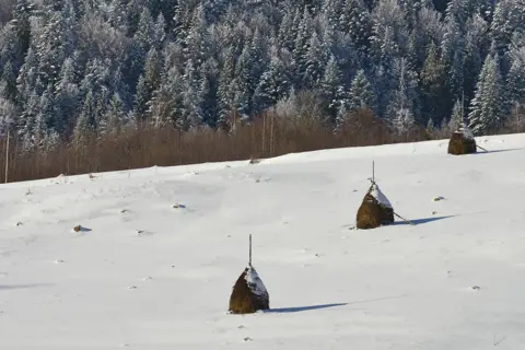 Національний природний парк «Бойківщина» — фото 11