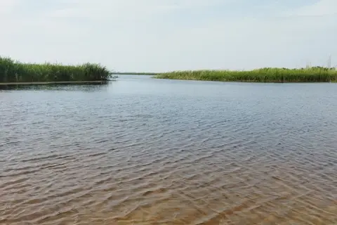 Лісова пісня — фото 3