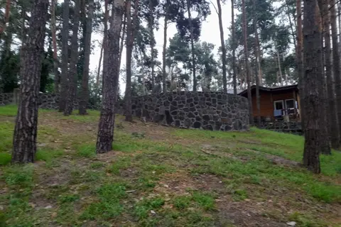 Лісова пісня — фото 9