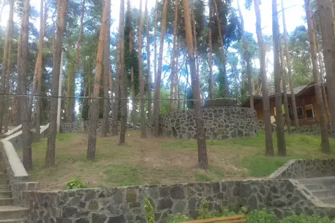 Лісова пісня — фото 13